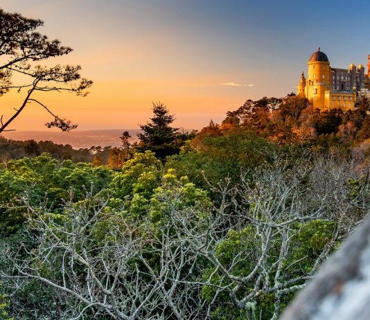 Parques de Sintra distinguida como a “Melhor Empresa do Mundo em Conservação”