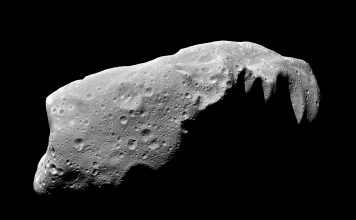 Imagem do asteroide 243 Ida, obtida pela sonda Galileo. Apesar de cerca de dez vezes maior do que o asteroide 32599 Pedromachado, 243 Ida também se encontra na Cintura de Asteroides. Créditos: NASA/JPLV