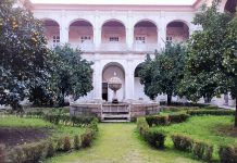 Museus do norte abrem portas aos jovens no Dia Internacional da Juventude