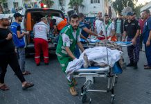 Gaza: cemitério de médicos, da ONU e de jornalistas – relato de 29 de novembro