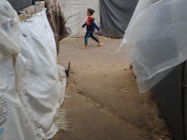 Gaza: operação humanitária deixou de poder atuar – relato de 7 de novembro