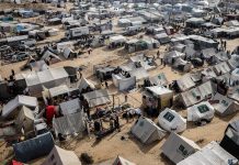 Gaza: OMS alerta para desumanização - Hepatite e morte - relato de 19 de janeiro