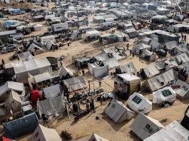 Agência das Nações Unidas faz apelo de emergência para Gaza e Cisjordânia