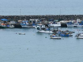 Parlamento Europeu aprova recomendações para uma Lei Europeia dos Oceanos que proteja os pescadores