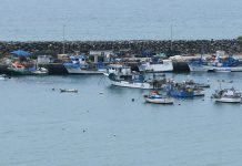 Modernizar navios de pesca e apoiar os jovens no setor leva Comissão Europeia a propor alterações a Regulamento para facilitar financiamento Modernizar navios de pesca e apoiar os jovens no setor leva Comissão Europeia a propor alterações a Regulamento para facilitar financiamento
