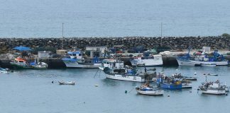 Modernizar navios de pesca e apoiar os jovens no setor leva Comissão Europeia a propor alterações a Regulamento para facilitar financiamento Modernizar navios de pesca e apoiar os jovens no setor leva Comissão Europeia a propor alterações a Regulamento para facilitar financiamento