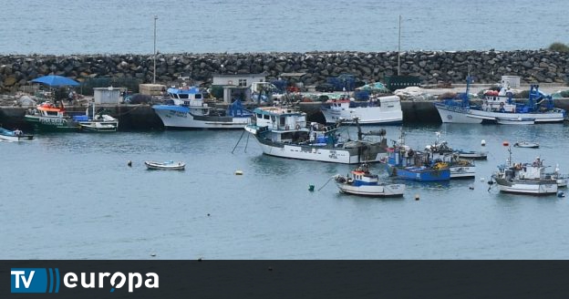 Fisheries agreements for 2024 between the European Union, the United Kingdom and Norway