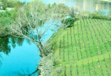 Federação Nacional de Regantes de Portugal assume presidência da European Union of Water Management Associations