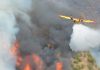 Comissão Europeia reúne equipas de bombeiros e frota de aeronaves de apoio no combate a incêndios florestais