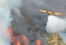 Comissão Europeia reúne equipas de bombeiros e frota de aeronaves de apoio no combate a incêndios florestais