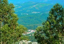 Comissão Europeia financia com 358 milhões de euros projetos para o ambiente e a ação climática Comissão Europeia financia com 358 milhões de euros projetos para o ambiente e a ação climática