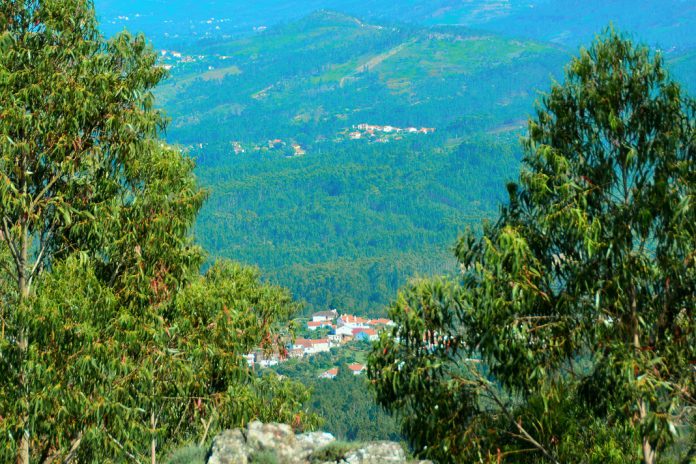 Comissão Europeia financia com 358 milhões de euros projetos para o ambiente e a ação climática Comissão Europeia financia com 358 milhões de euros projetos para o ambiente e a ação climática