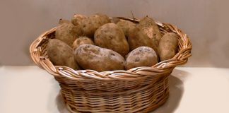 Identificado o gene da batata que regula o teor de açúcar e o aumento da produtividade Identificado o gene da batata que regula o teor de açúcar e o aumento da produtividade