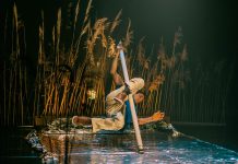 Espetáculo do mastro chinês Pa(i)ysage[n]s estreia em Aveiro