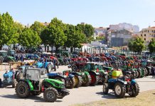 Feira de São Pedro em Macedo de Cavaleiros em 2024 com Agro Summit