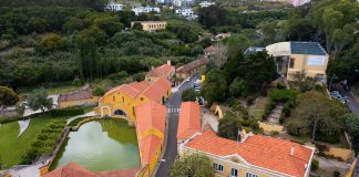 Escola Superior de Saúde Atlântica abre candidaturas para pós-graduações em Fisioterapia e Osteopatia