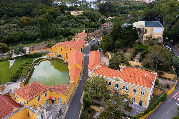 Escola Superior de Saúde Atlântica abre candidaturas para pós-graduações em Fisioterapia e Osteopatia