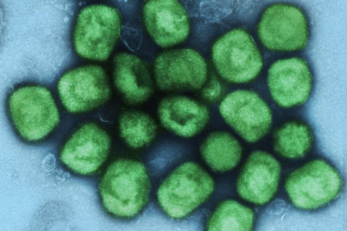 O que é a mpox e como se transmite