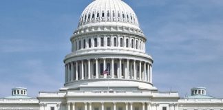 Ameaça de posse pela força da Gronelândia e aplicação de tarifas a aliados pode ser mau para os EUA