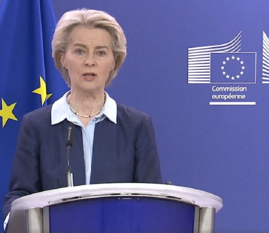 Ursula von der leyen apoia posição do Presidente ucraniano num cessar-fogo a infraestruturas de energia