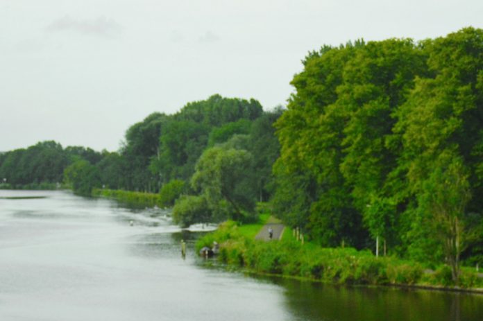Dinamarca com apoio da União Europeia vai tornar terras agrícolas em florestas
