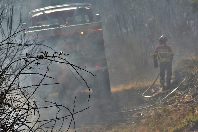 Em 2024, os países da União Europeia contaram com 390.600 bombeiros profissionais