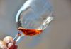 Consumo de álcool prejudica mais o sistema imunológico do cérebro em mulheres