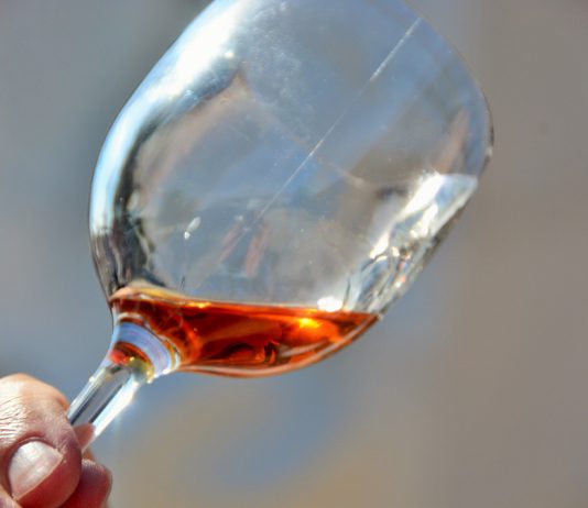 Consumo de álcool prejudica mais o sistema imunológico do cérebro em mulheres