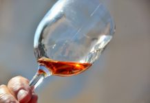 Consumo excessivo de álcool na adolescência prejudica desenvolvimento do cérebro Consumo excessivo de álcool na adolescência prejudica desenvolvimento do cérebro