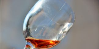 Consumo excessivo de álcool na adolescência prejudica desenvolvimento do cérebro