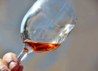 Consumo excessivo de álcool na adolescência prejudica desenvolvimento do cérebro