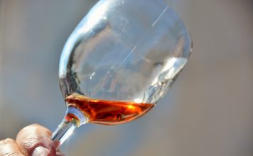 Consumo excessivo de álcool na adolescência prejudica desenvolvimento do cérebro