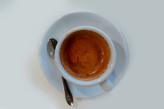 Café é um potencial corante em microscopia eletrónica substituindo atual corante tóxico