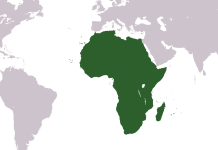 União Europeia apoia com 545 milhões de euros projetos de energias limpas em África União Europeia apoia com 545 milhões de euros projetos de energias limpas em África