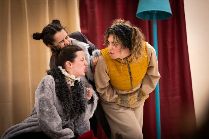 Teatro Nacional D. Maria II leva espetáculos para famílias a diversas localidades do país