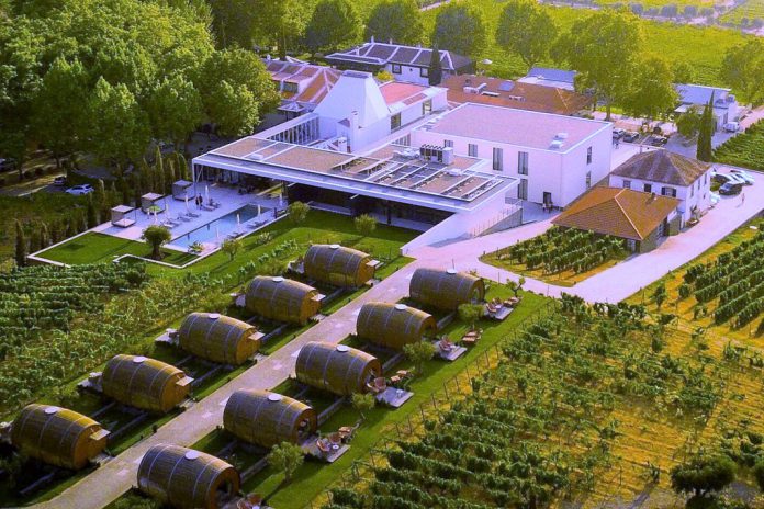 Quinta da Pacheca recebe 10.ª edição do concurso e festa do tomate Coração de Boi do Douro Quinta da Pacheca recebe 10.ª edição do concurso e festa do tomate Coração de Boi do Douro