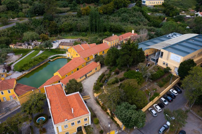 Escola Superior de Saúde Atlântica e organização de enfermeiros do Canadá formam cerca de uma centena de enfermeiros em Portugal Escola Superior de Saúde Atlântica e organização de enfermeiros do Canadá formam cerca de uma centena de enfermeiros em Portugal