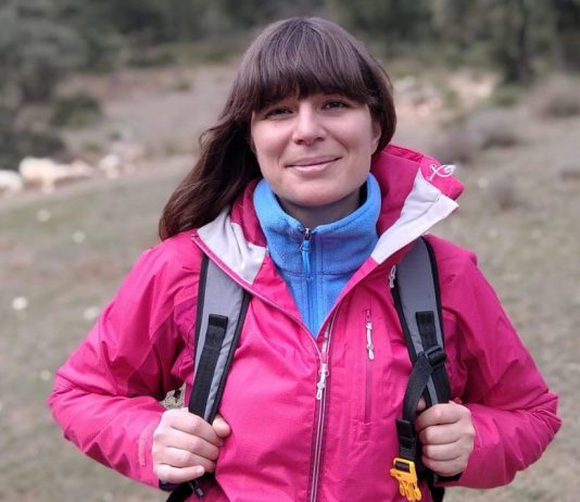 Plantações de eucalipto têm impacto nos animais invertebrados, conclui investigação da Universidade de Coimbra