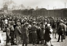 Conselho Europeu assinala Dia Internacional em Memória das Vítimas do Holocausto