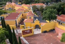 Atlântica lança licenciatura inovadora em Design UX/UI