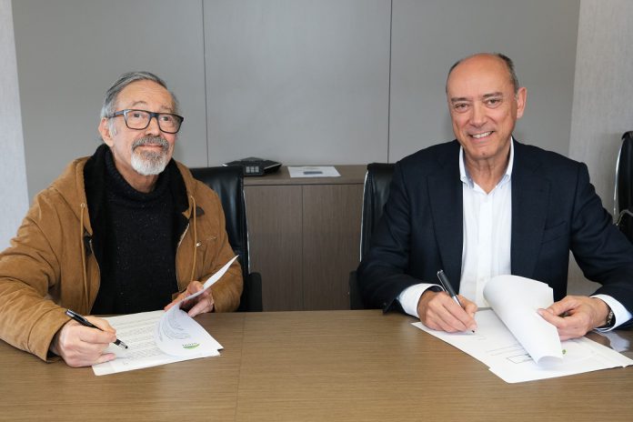 Prémios Sophia, de Cinema Nacional, têm financiamento garantido até 2027