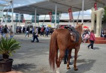 A 41ª Ovibeja, de 30 de abril a 4 de maio de 2025, explora novas tecnologias e IA na agricultura