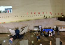 Ciência Viva abre inscrições para mais de 250 estágios do “Ciência Viva no Laboratório”