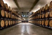 Em Nelas o 25 de Abril é assinado na “Caminhos Cruzados” com visitas e provas de vinhos gratuitas