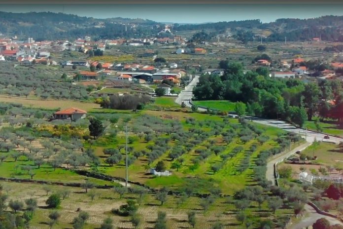 Valpaços distinguida como Cidade Biológica Europeia 2025 Valpaços distinguida como Cidade Biológica Europeia 2025