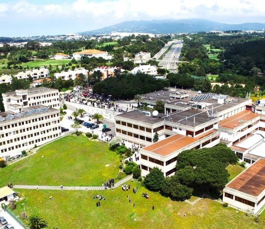 Empresas de topo do setor hoteleiro dos EUA recrutam na Escola Superior de Hotelaria e Turismo do Estoril