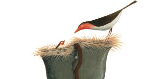 Na Maia a Mostra de Ilustração – UIVO para refletir “Como seria o Mundo (s)em guerra?” Na Maia a Mostra de Ilustração - UIVO para refletir “Como seria o Mundo (s)em guerra?”