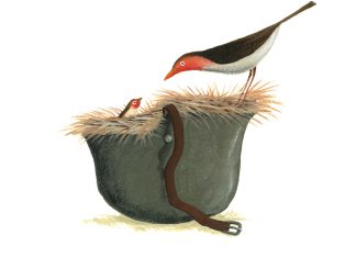 Na Maia a Mostra de Ilustração – UIVO para refletir “Como seria o Mundo (s)em guerra?” Na Maia a Mostra de Ilustração - UIVO para refletir “Como seria o Mundo (s)em guerra?”