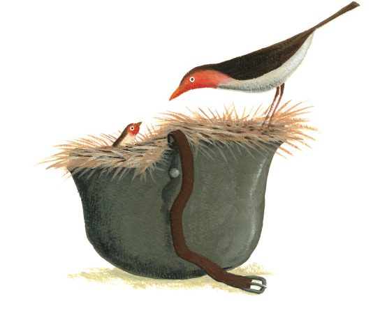 Na Maia a Mostra de Ilustração – UIVO para refletir “Como seria o Mundo (s)em guerra?” Na Maia a Mostra de Ilustração - UIVO para refletir “Como seria o Mundo (s)em guerra?”