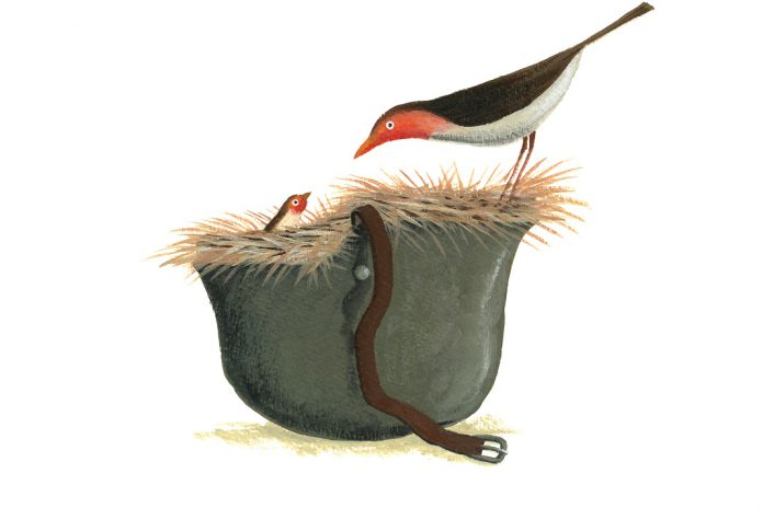 Na Maia a Mostra de Ilustração - UIVO para refletir “Como seria o Mundo (s)em guerra?” Na Maia a Mostra de Ilustração - UIVO para refletir “Como seria o Mundo (s)em guerra?”